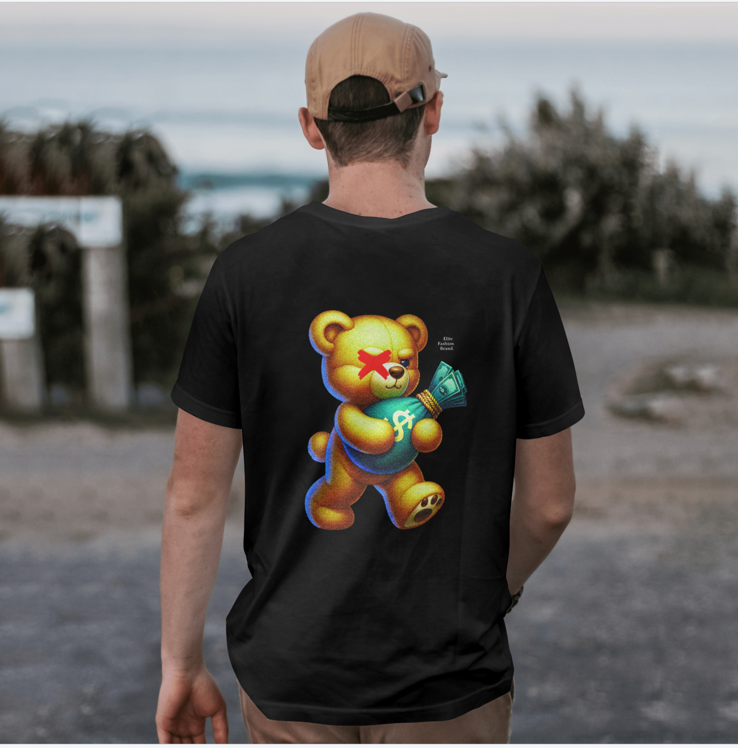 Money TeddyBear